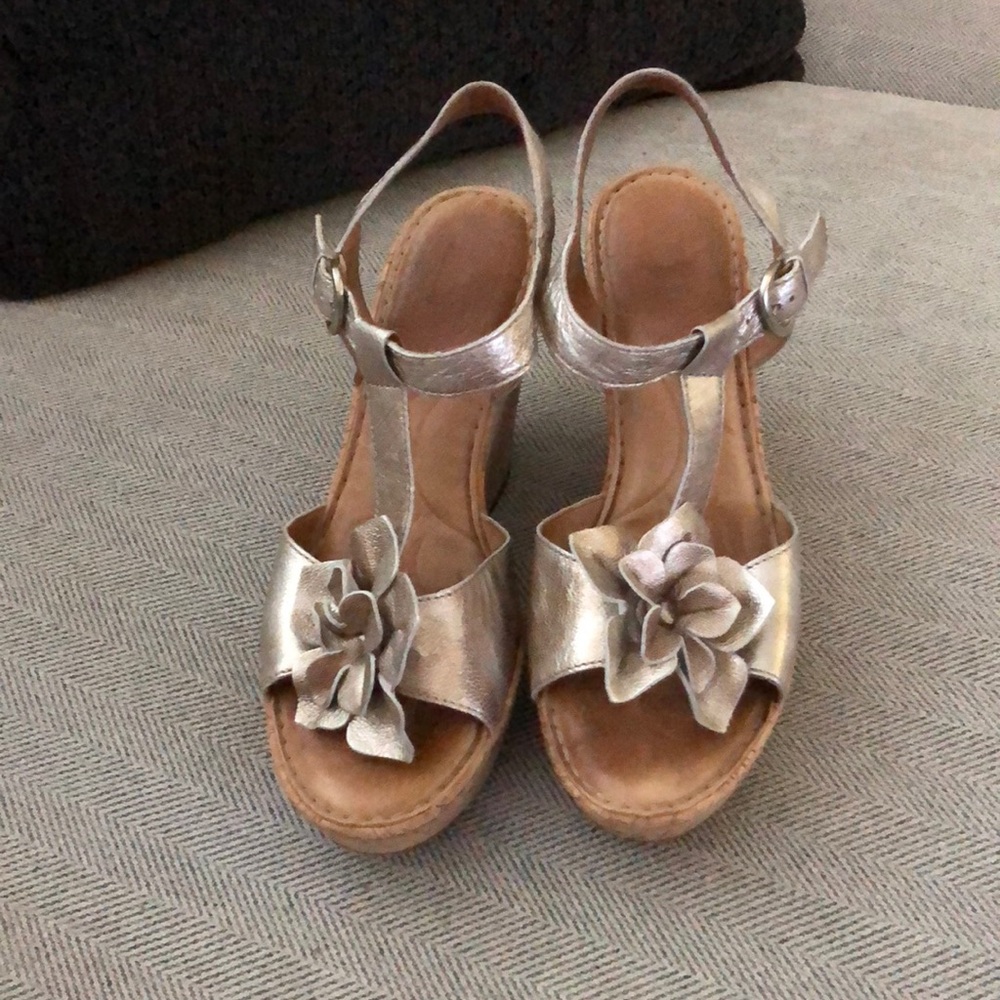 Born wedges